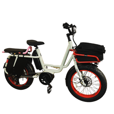 Benno Remi-Demi Family cargo bike