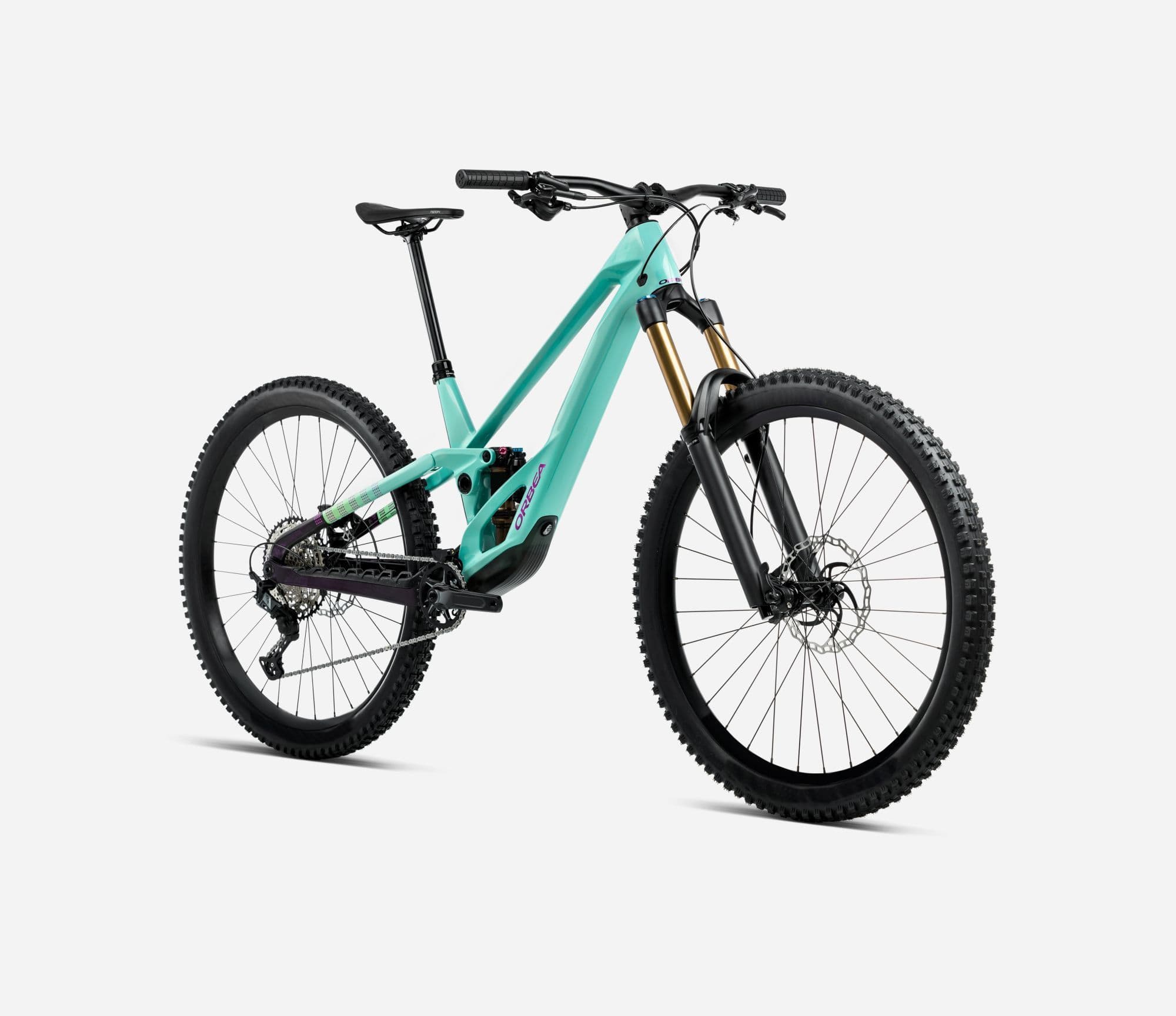 Orbea Rallon E-Team