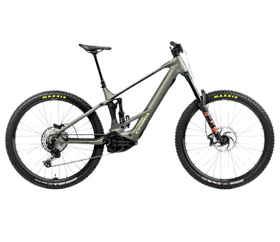Orbea WILD `H10