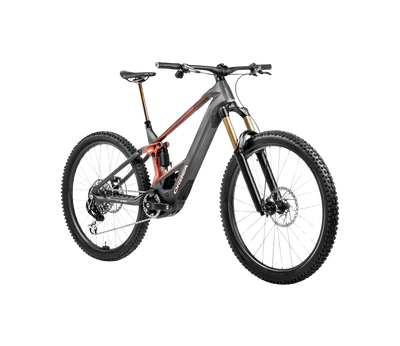 Orbea WILD `M-Team 2026