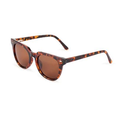 Fortis Cat Eyes Brown 247