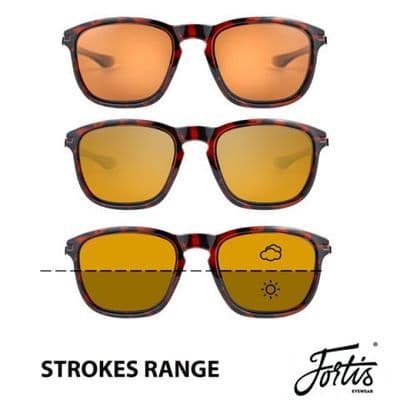 Fortis Strokes -