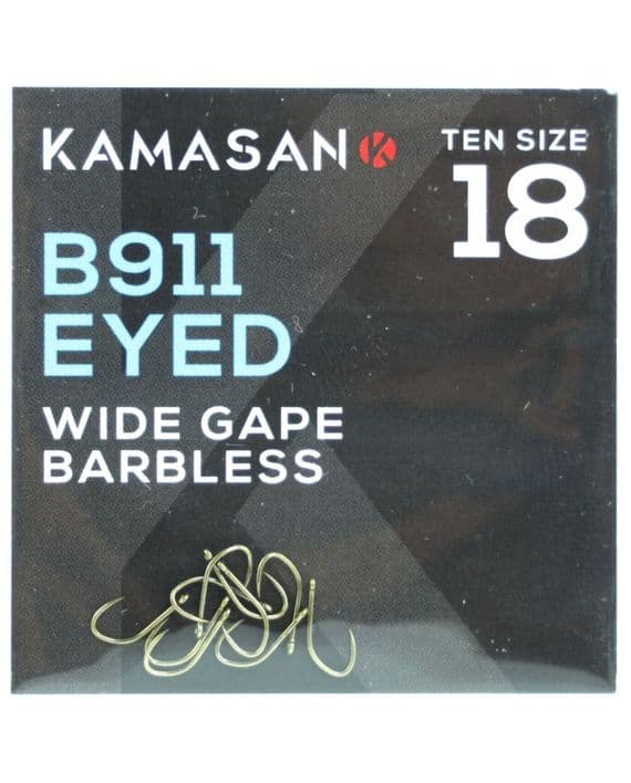 Kamasan B911 Eyed B/Less