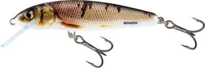 M7s Wounded Dace Qmw049