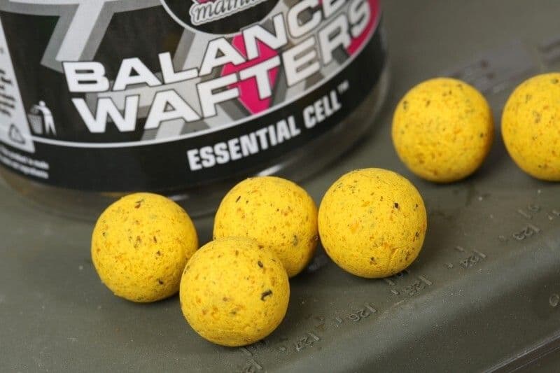 Appâts Pour Pêche à La Carpe Mainline Essential Cell Wafters - Hameçons Dédiés, Référence M21107