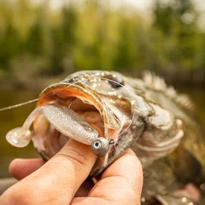 Rapala CrushCity - The Mayor