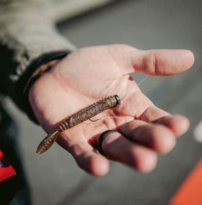 Rapala CrushCity - The Salted Nedroll