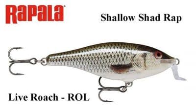 Rapala Shallow Shad Rap