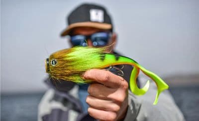 Rapala Soft - Olio Prerigged