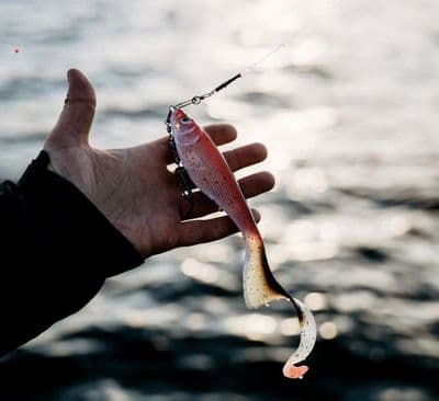 Rapala Soft - Otus