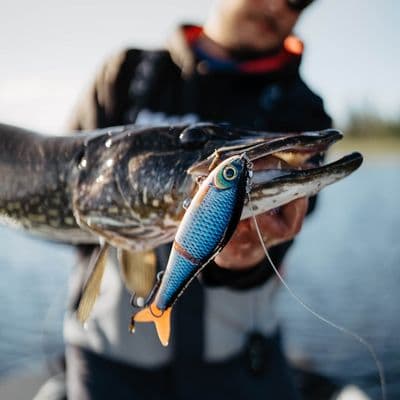 Rapala Super Shadow Rap - Glide