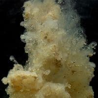 Sticky Manilla Active Mix