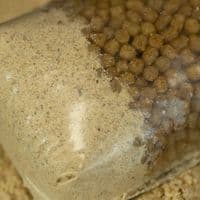 Sticky Manilla Active Mix