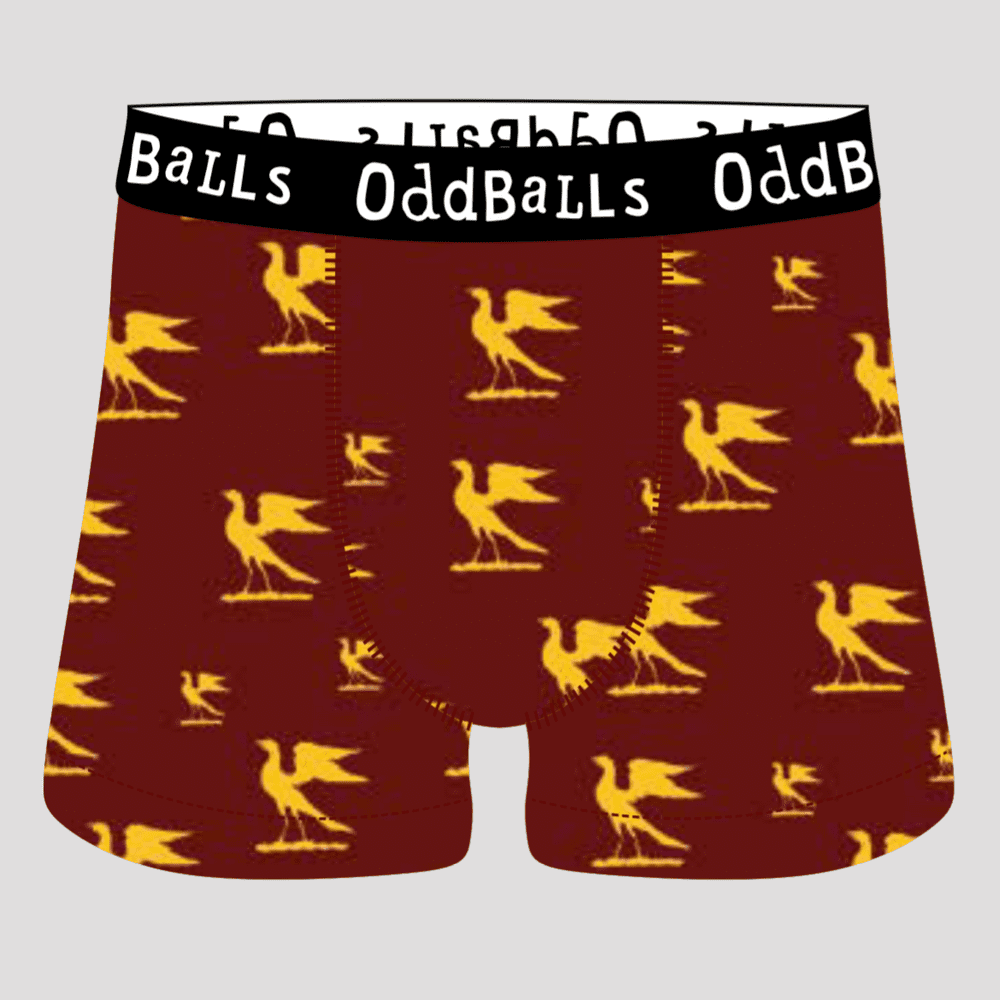 Hawks Oddballs Underwear