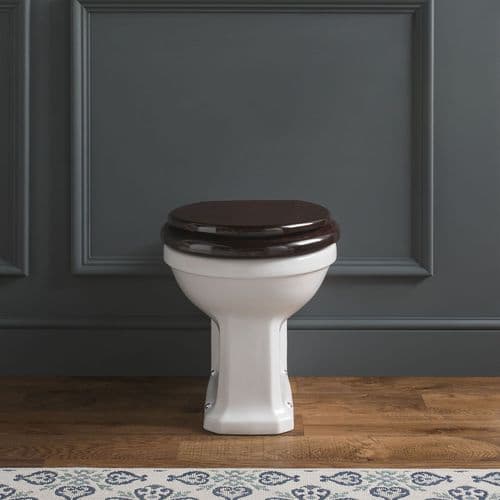 Classic Back to Wall Toilet