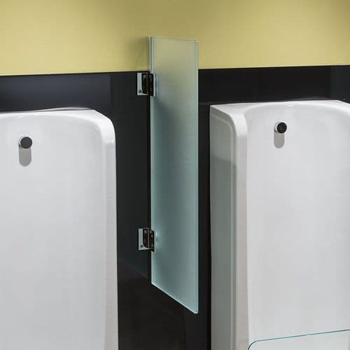 Frosted Glass Urinal Divider