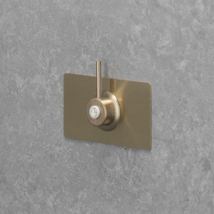 Luxury TMV3 Thermostatic Shower Valve - Brushed Brass