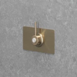 Luxury TMV3 Thermostatic Shower Valve & Fixed/Adj Shower Head - Brushed Brass