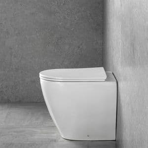 Modern Back to Wall Toilet by Healey & Lord