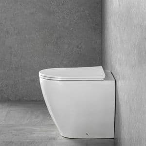 Modern Back to Wall Toilet by Healey & Lord
