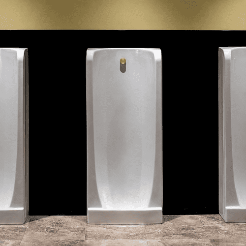 Niagara Back Inlet Urinal - White, Polished Brass finish