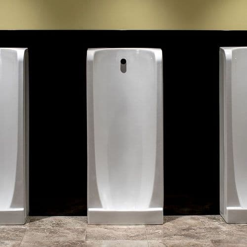 Niagara Back Inlet Urinal - White, Stainless Steel finish