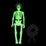 Grateful Dead: Berta - Glow-In-The Dark - ReAction Figure
