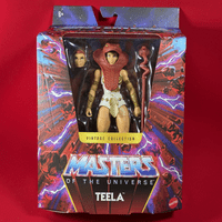 Masters of the Universe Mastervese: Vintage Collection Teela