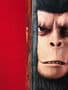 Sideshow Collectibles - Planet of the Apes: Cornelius - 12-Inch Figure - Sealed in Box