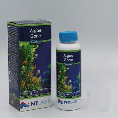 Nt labs Algae Gone