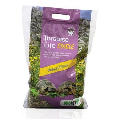 PR Tortoise Life EDIBLE, 10