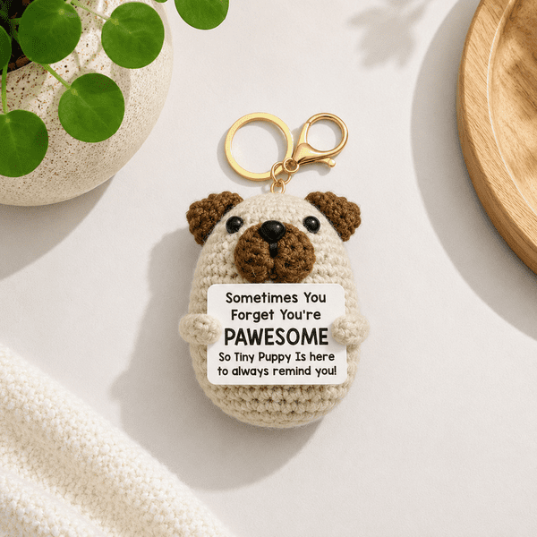 AA6071 - PAWESOME - SINGLES