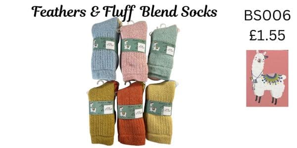 BS006 - 6 ASST - 12 PACK @ £1.55