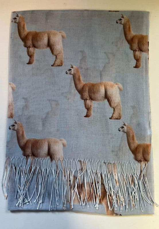 LP3732 LLAMA - SINGLES @ £3.60