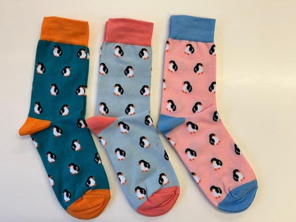 LS5014 - 3 ASST - 12 IN A PACK @ £1.75