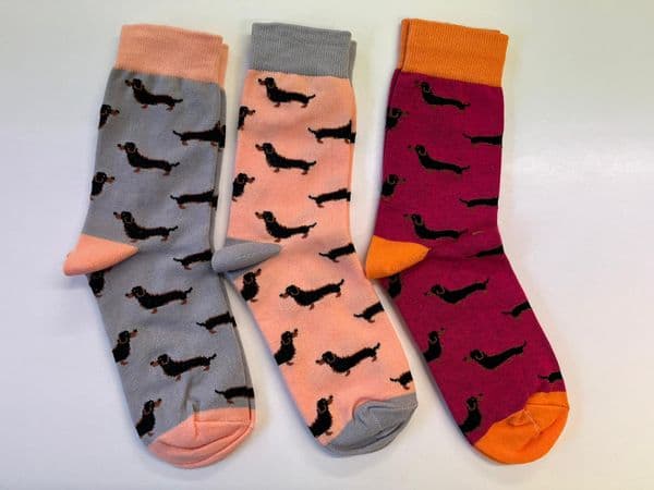 LS5020 - 3 ASST - 12 IN A PACK @ £1.75