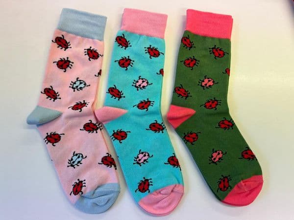 LS5021 - 3 ASST - 12 IN A PACK @ £1.75