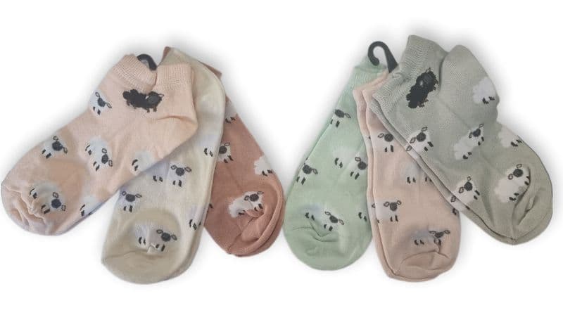 TS003 TRAINER SOCKS 12 Pack
