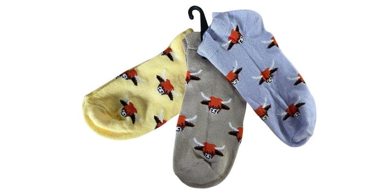 TS006 HIGHLAND COW 55p EACH PACK OF 12