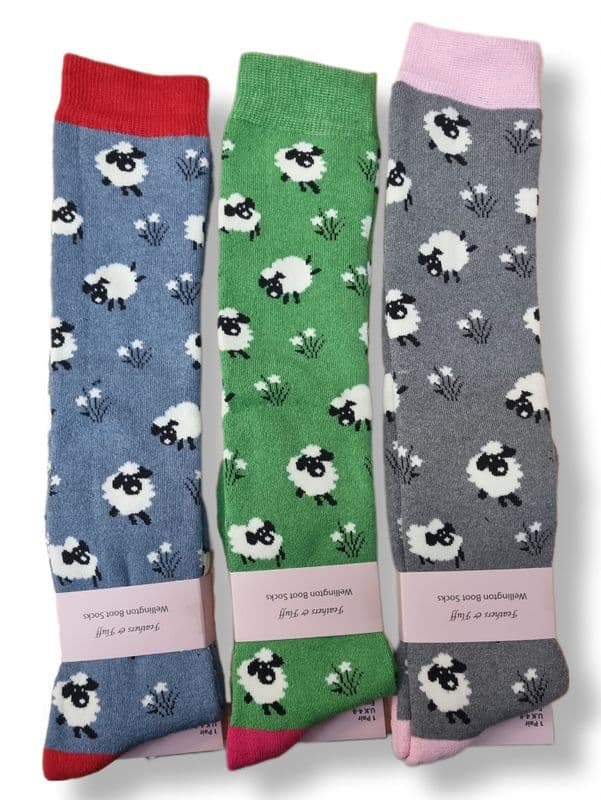 WS007 12ASST @ £1.55 EACH