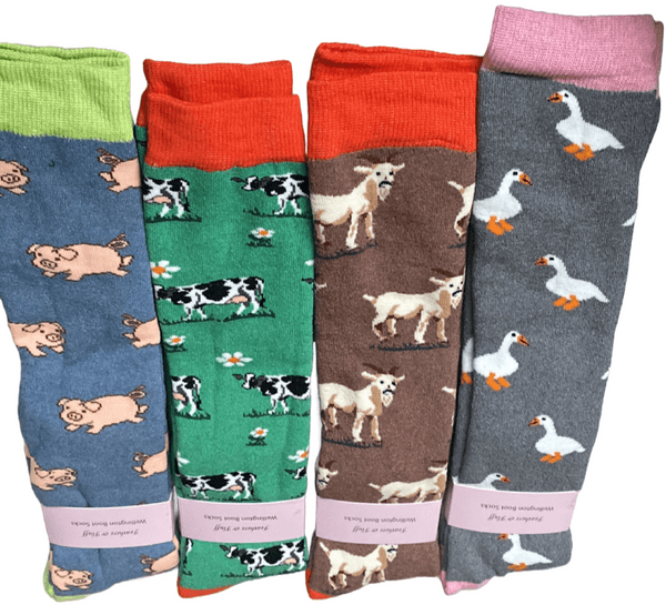 WS014 WELLY SOCKS 12 Pack