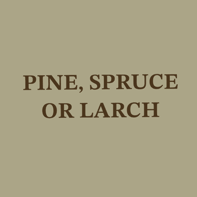 pine, spruce or larch