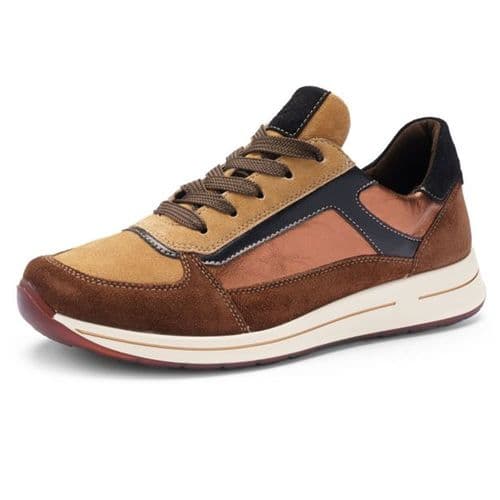 Ara 12-24826 Trainer