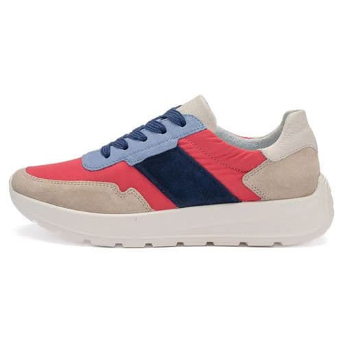 Ara 1225116 Trainer
