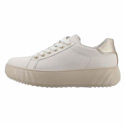 Ara 1246523 Trainer