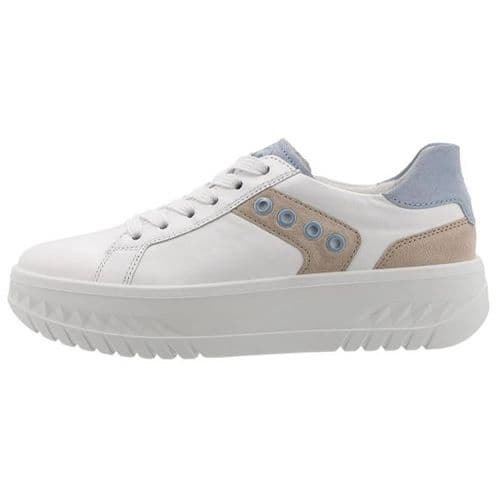 Ara 1246709 Trainer