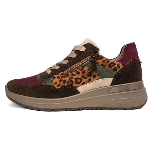 Ara 1257702 Trainer