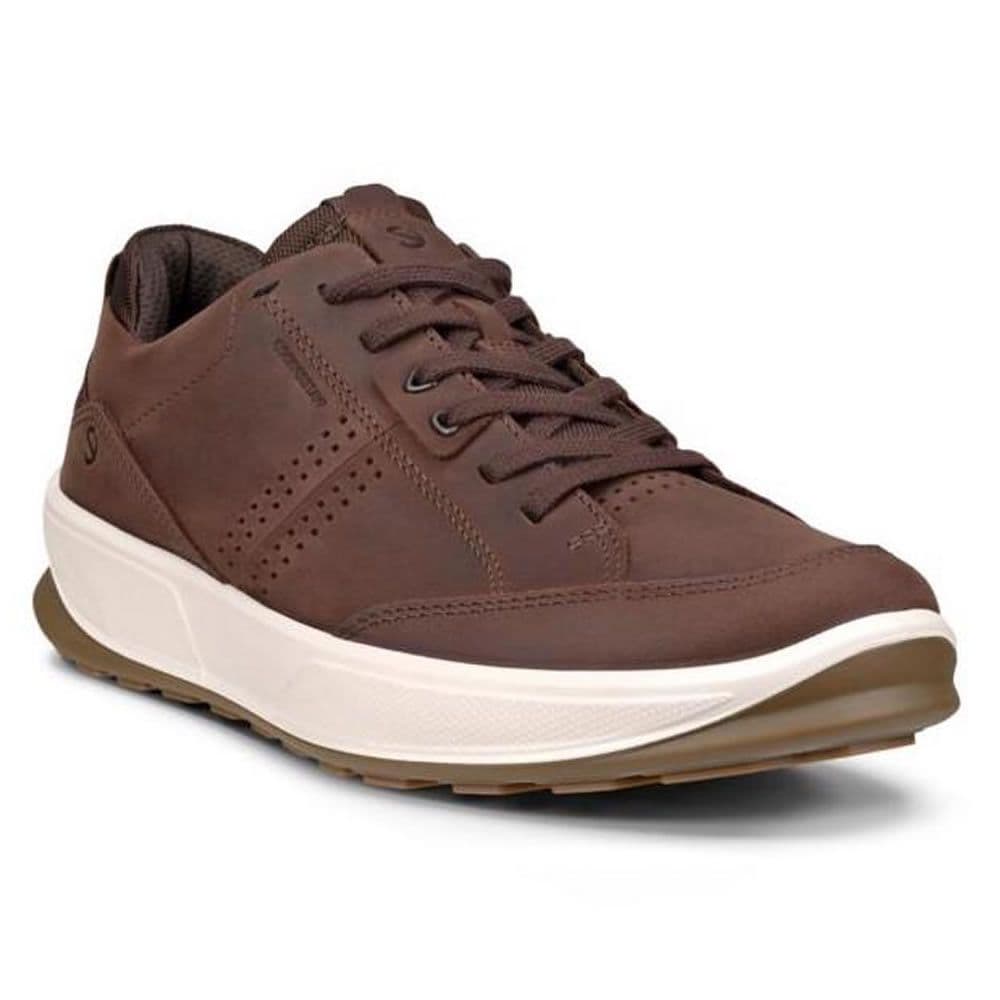 Ecco 522804 Byway 2 0 Waterproof Shoe