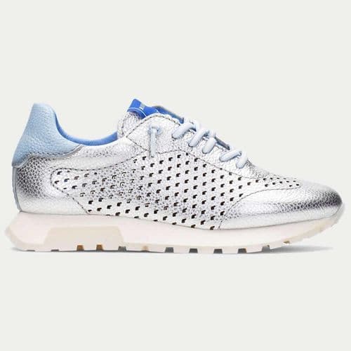 Hispanitas HV264559 Perforated Trainer