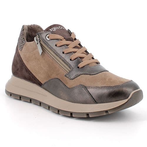 Igi 21719 Trainer